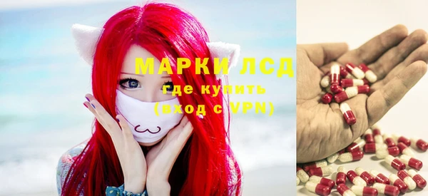 мяу мяу мука Медвежьегорск
