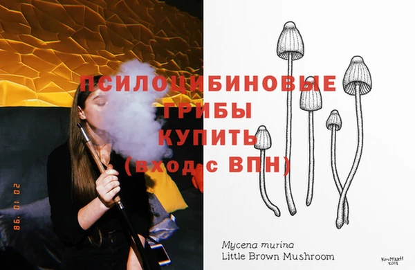 таблы Мегион