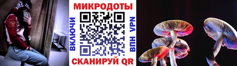 Галлюциногенные грибы ЛСД  Новошахтинск 