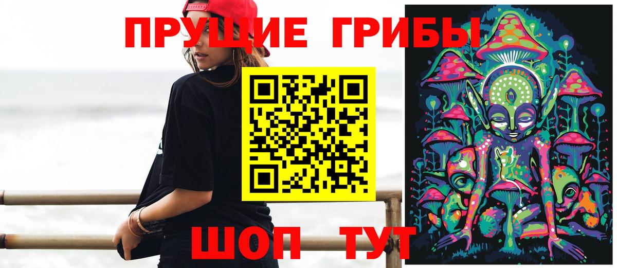 Псилоцибиновые грибы MAGIC MUSHROOMS  Вход с VPN  Новошахтинск 